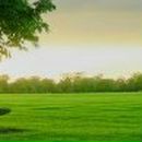 Елена Пономарева *Nikitich* | 