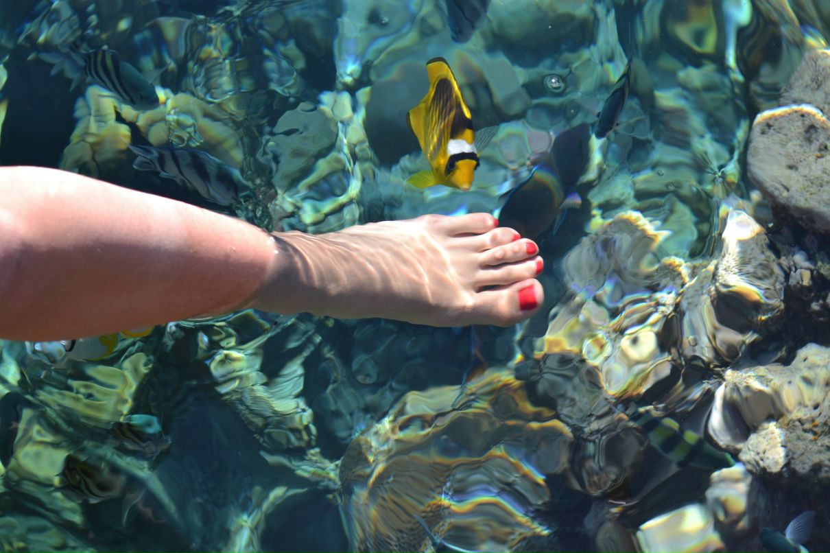 Анастасия Божекова | Красноярск