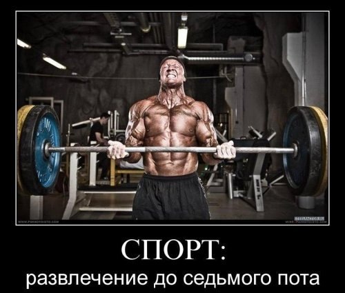 Дмитрий Захаров | Санкт-Петербург