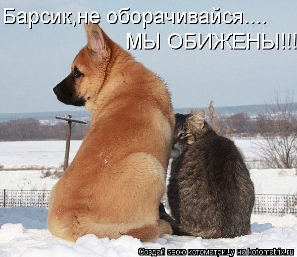 Илья Манцуров | Уфа