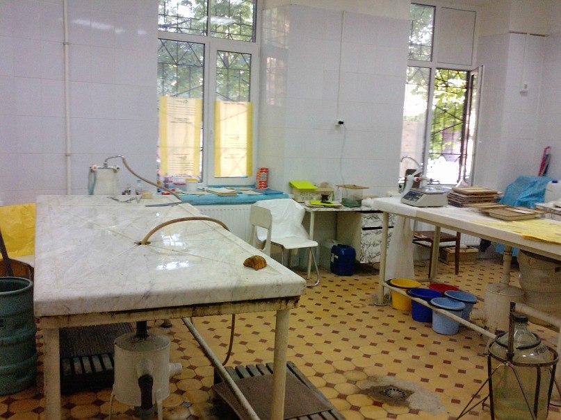 Елена Семёнова ღ♥LEXSIღ♥ | Санкт-Петербург