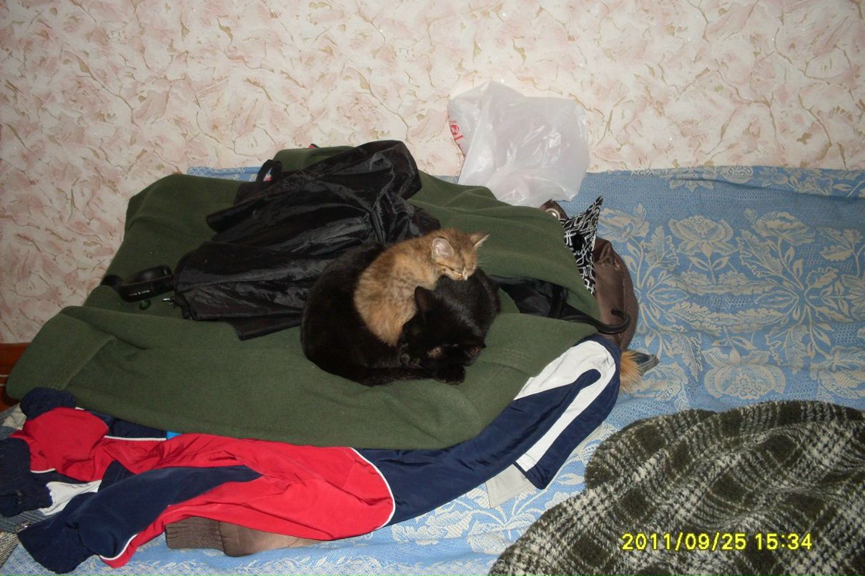 Светлана Макарова | Инза