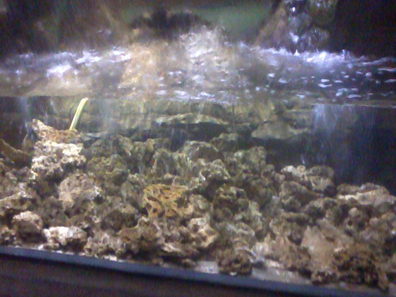 Татьяна Баранова | Санкт-Петербург