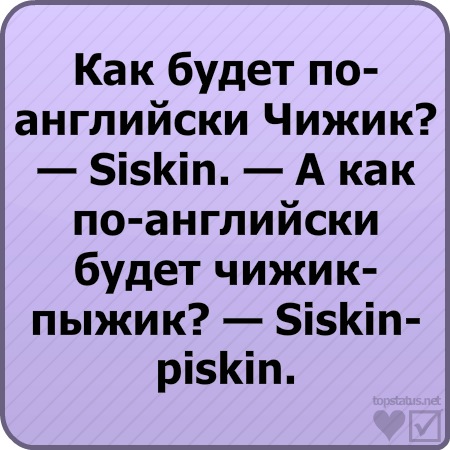 №66, Костян Гребенник, Николаев №66, Костян Гребенник, Николаев