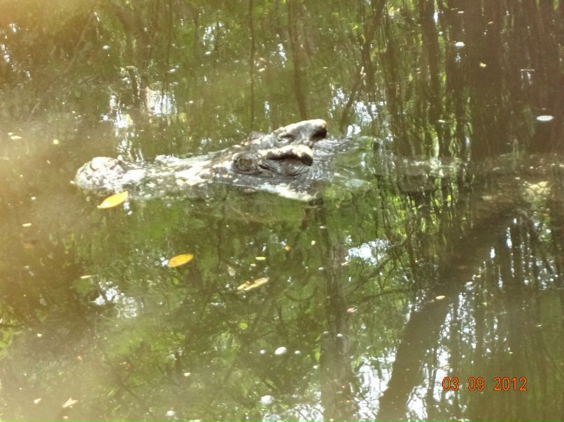 Светлана Степанова | Северодвинск