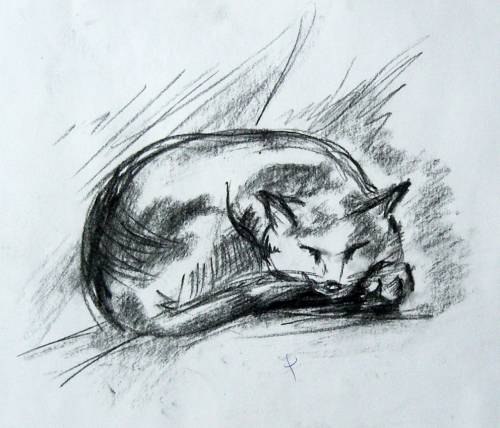 Alex Trasc N.O.k. | Санкт-Петербург