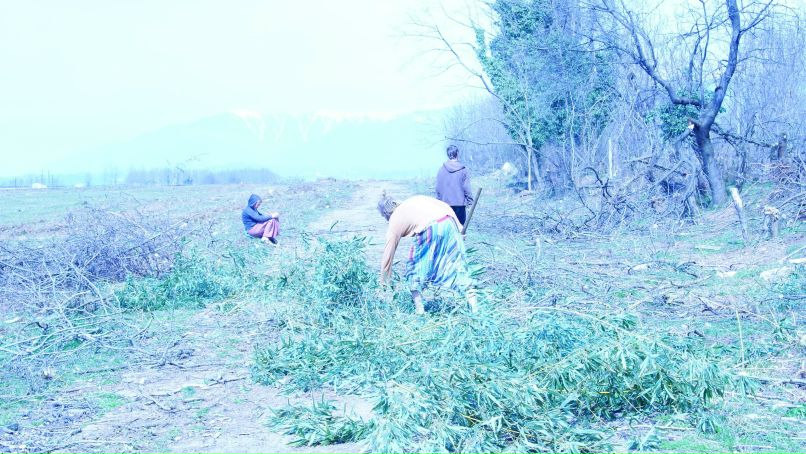 Lena Gan-Gayatri | Геленджик