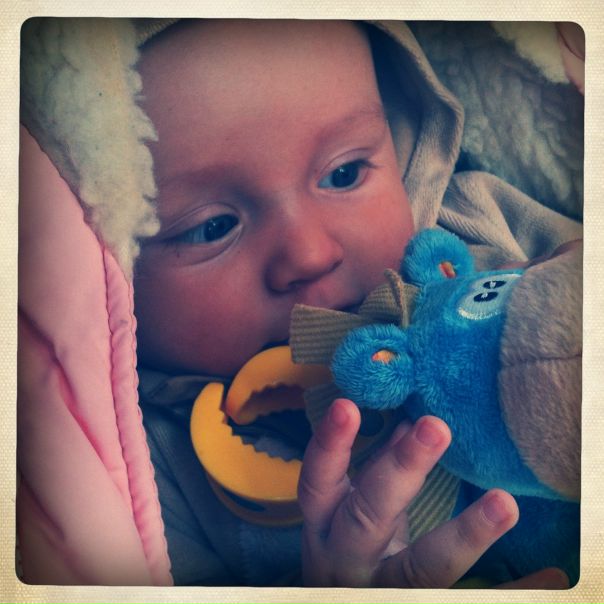 №24, Екатерина Шевцова №24, Екатерина Шевцова