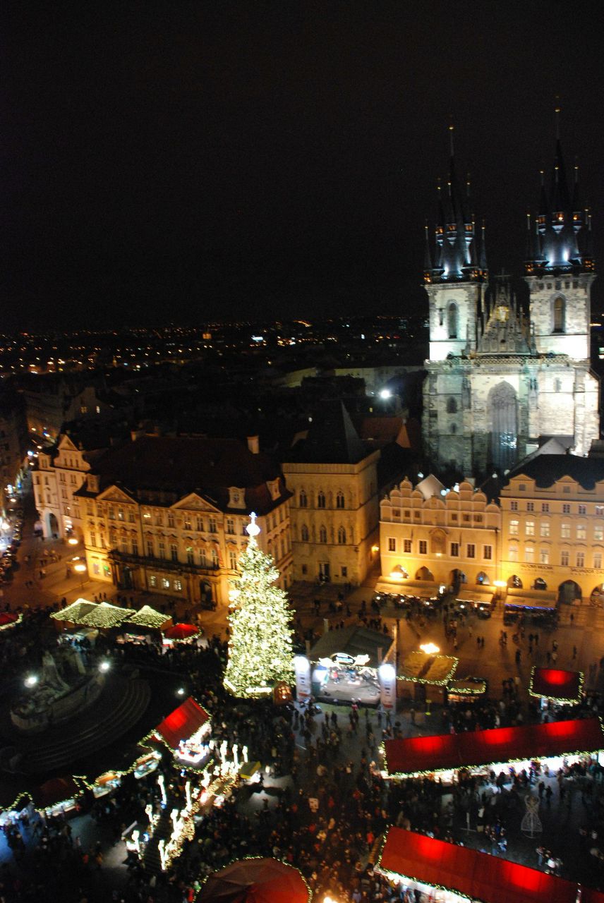 Александра Толеубаева | Алматы