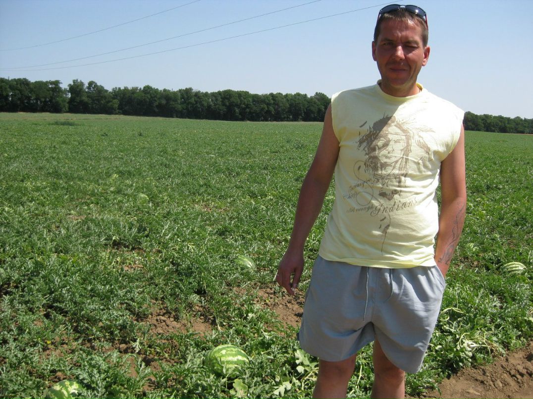 Михаил Кудрявцев | Выборг