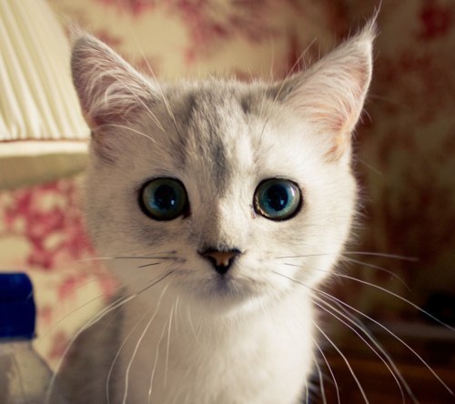 Евгений Маркин | Самара