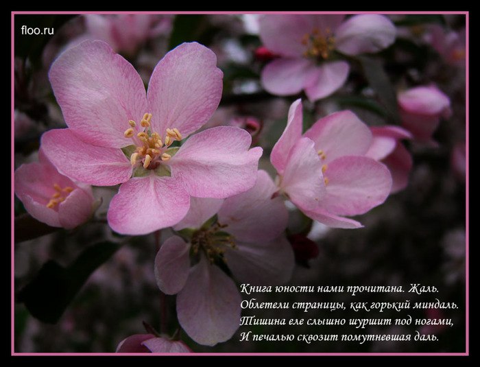 Любовь Стаканова | Сургут