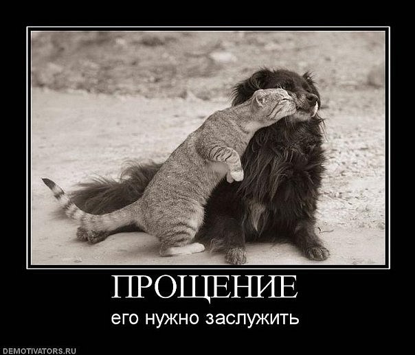 Alexey Kolesnik | Днепр (Днепропетровск)