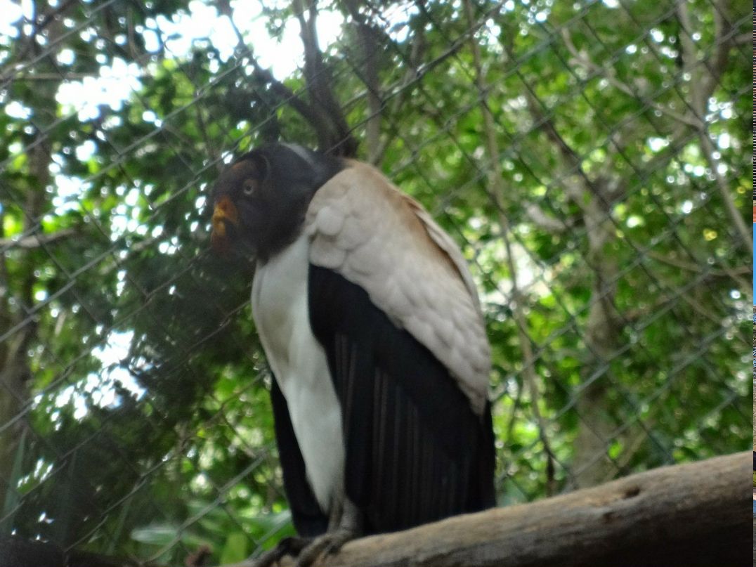 Евгений Чесалин | Москва