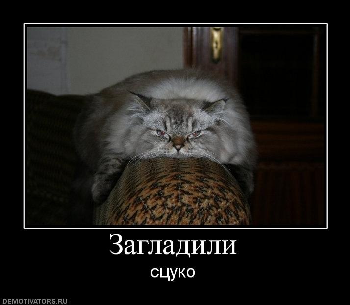 Svetlana Fotinya | 