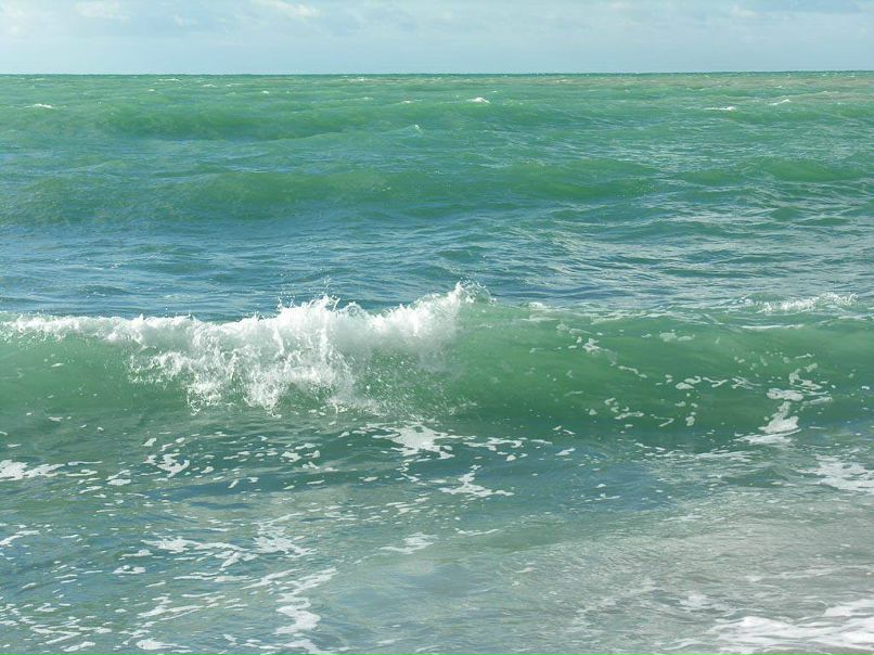 Наталья Ганиева | Tokyo