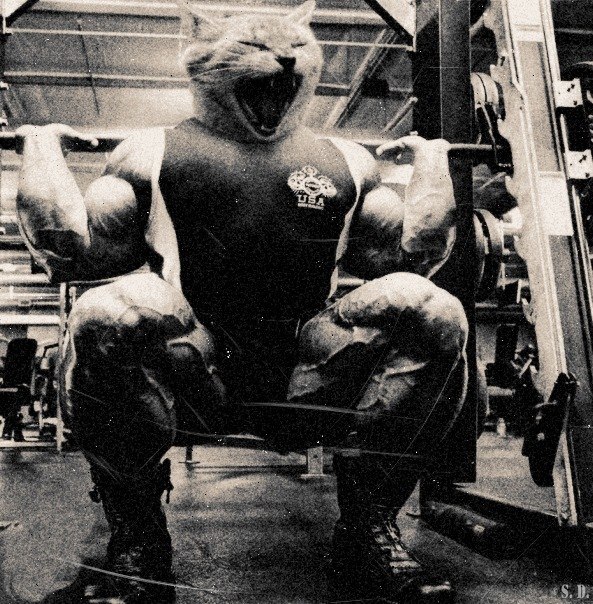 Дима Барецкий DJ ON GROVER | Москва