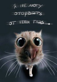 Валерия Красавина | Санкт-Петербург