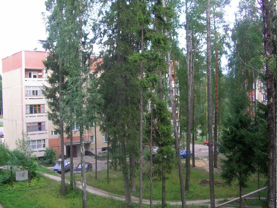 Надежда Алчинова Рябкова | Буй