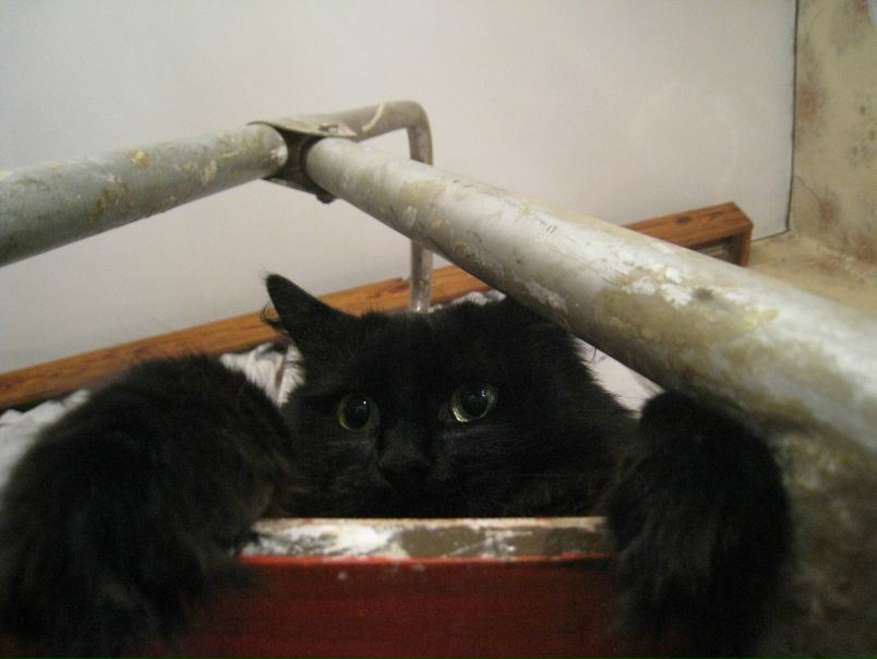 №75, Екатерина Беляева, Санкт-Петербург №75, Екатерина Беляева, Санкт-Петербург