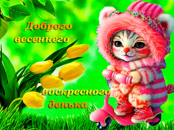 Позитивного воскресного дня