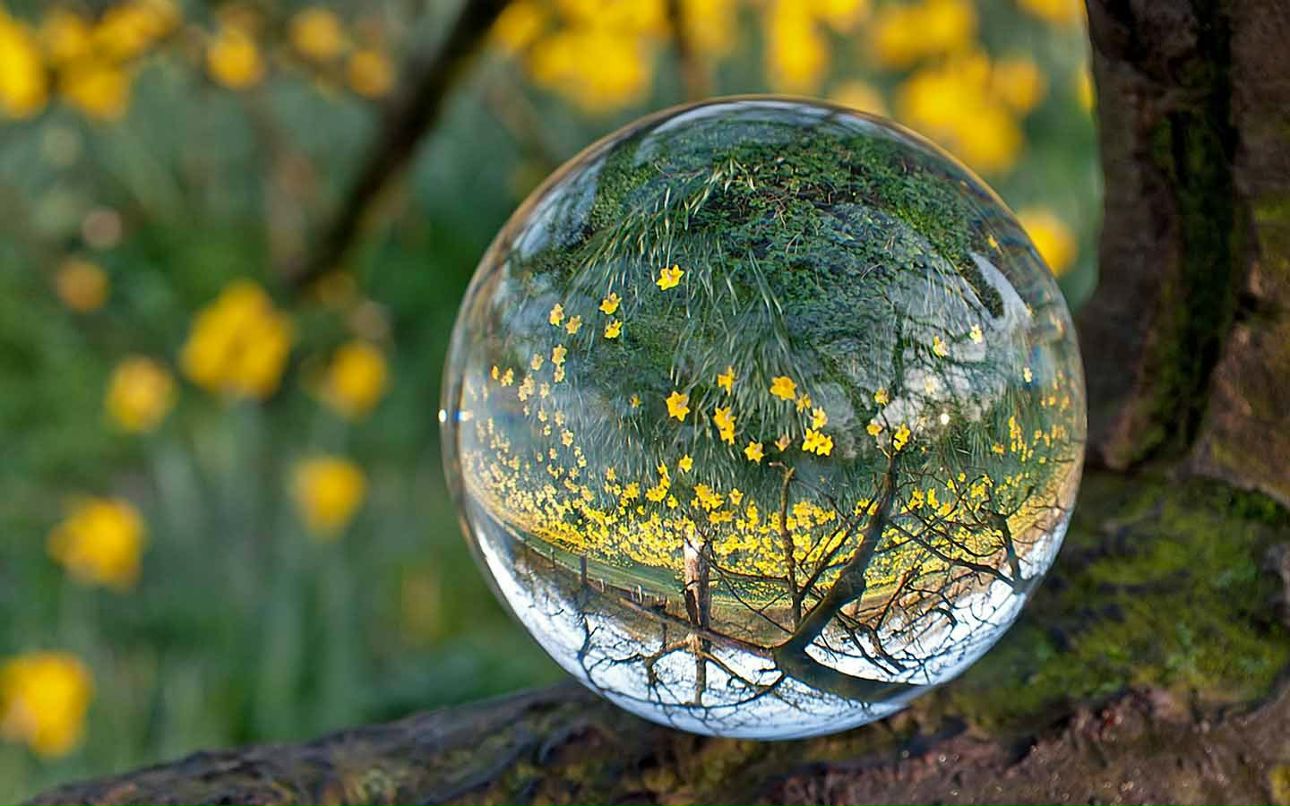 Александр Острянко | Киев