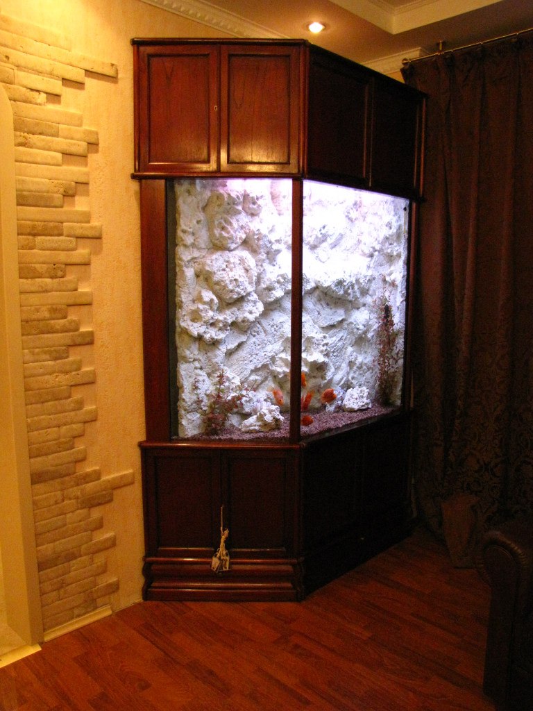 Александр Тимофеев | Санкт-Петербург