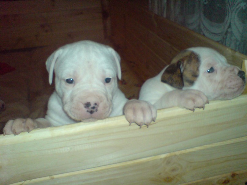 Жека Раджабов | Киев