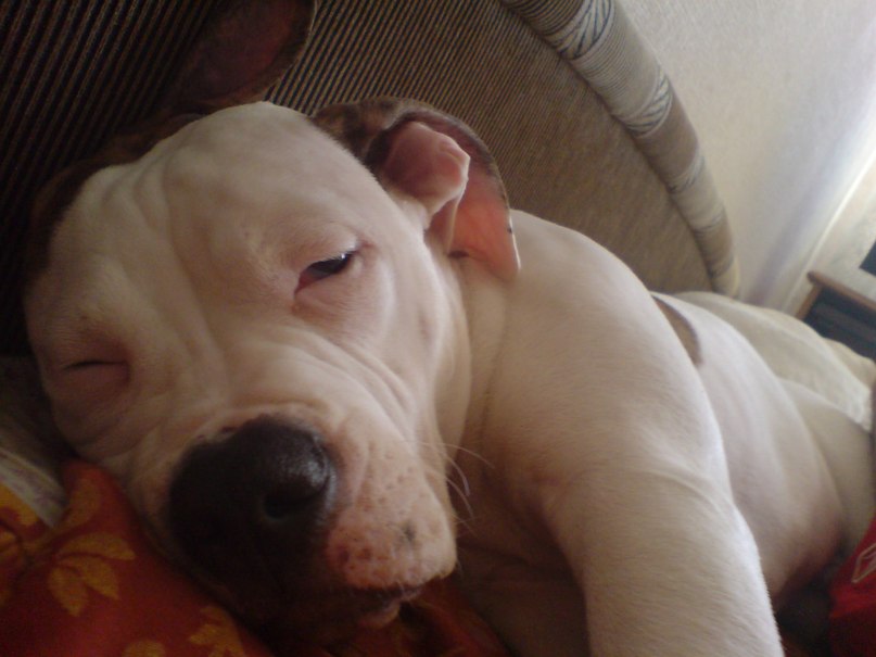 Жека Раджабов | Киев