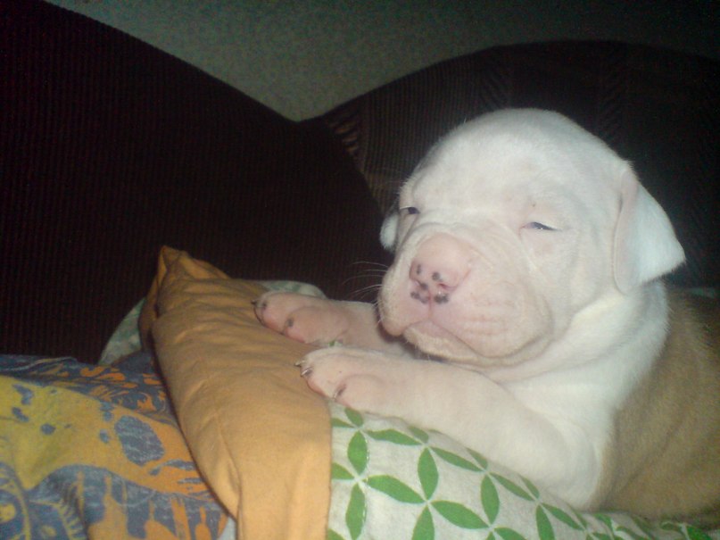 Жека Раджабов | Киев