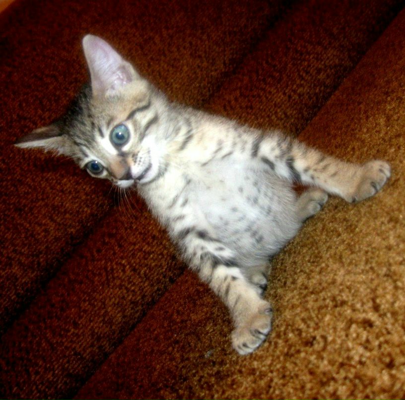 Руслан Алексеевич | Красноярск