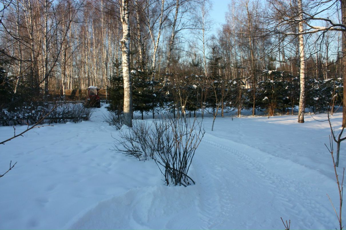 Сергей Бочаров | Москва