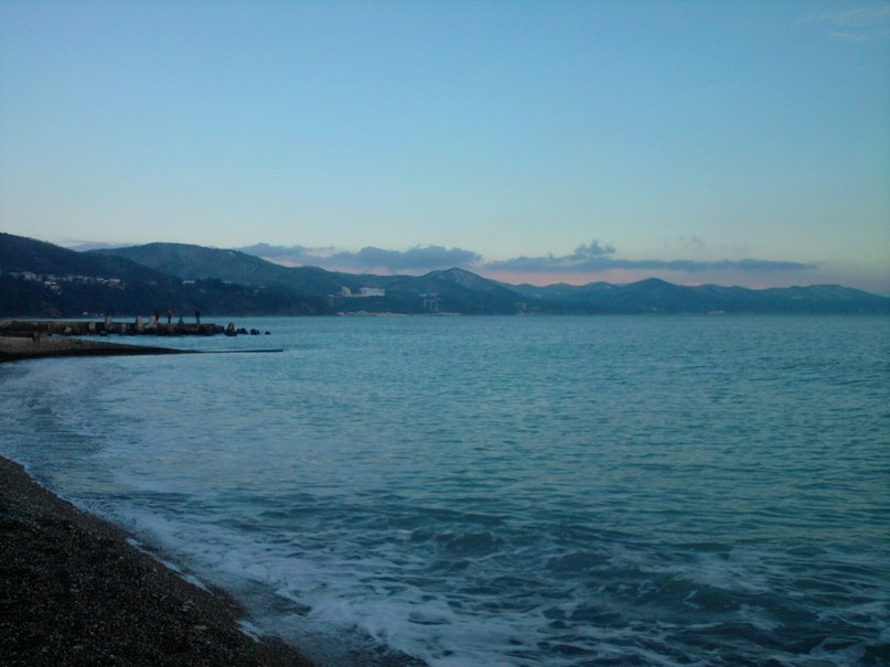 Диана Ляшенко | 