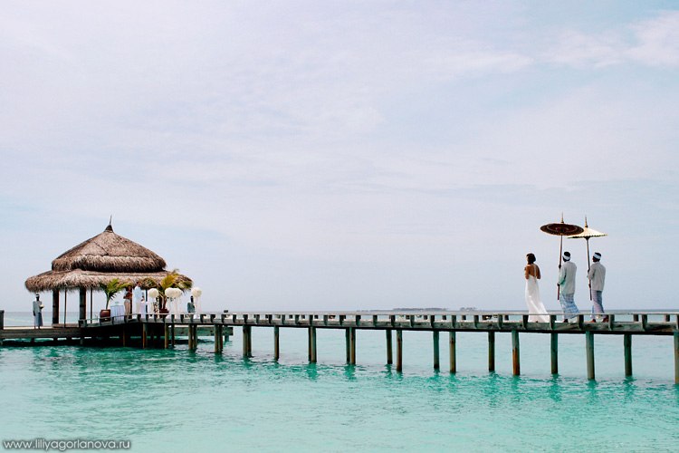 Алина Сиврюкова | Санкт-Петербург