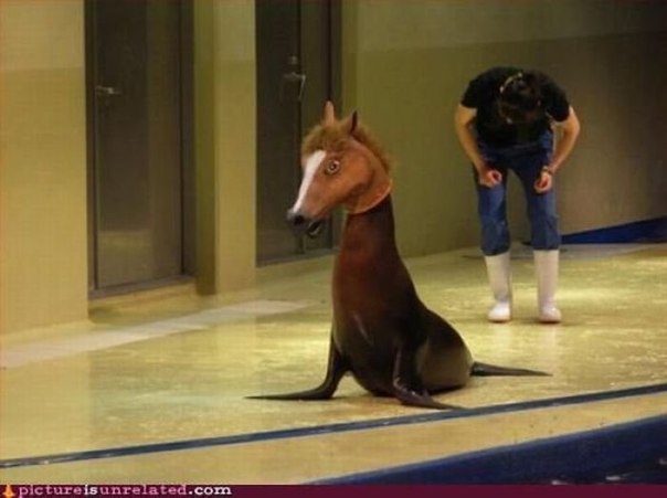 №49, Илья Шелешей №49, Илья Шелешей