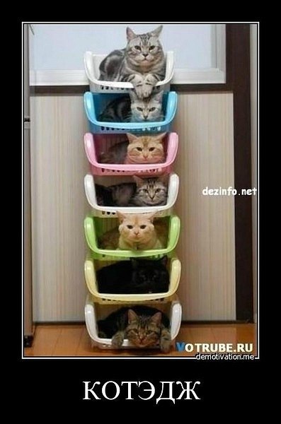 Татьяна Кулакова | Санкт-Петербург