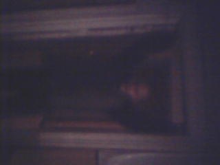 Андрей Одиноков Васильевич | Череповец