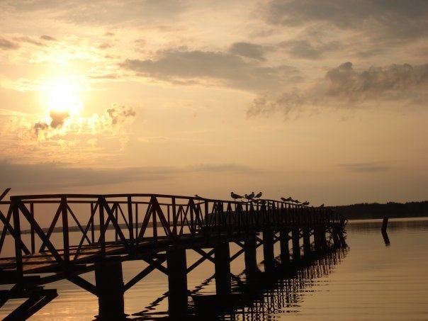 Алексей Вовенда | Санкт-Петербург