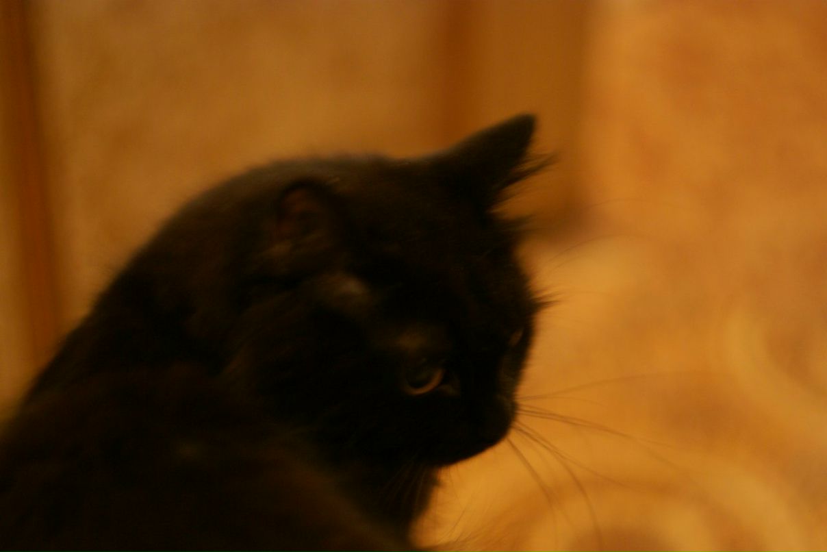 Роман Крюков | Москва