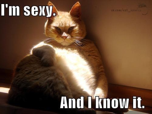 Алексей Власов | Коломна