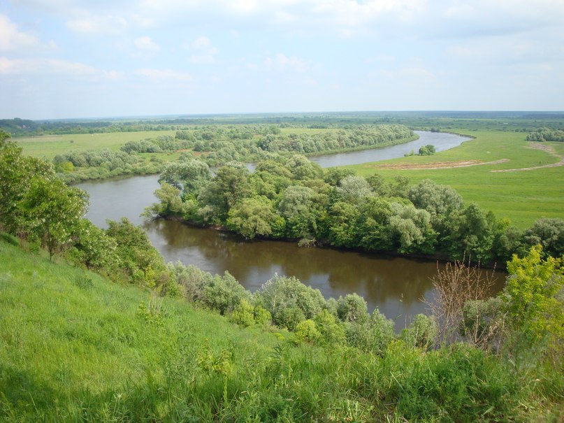 Саша Куций | Шостка