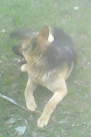 Тёма Михайлец | Кривой Рог