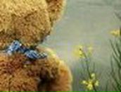 Валя Дідух-Данилів | Бережаны