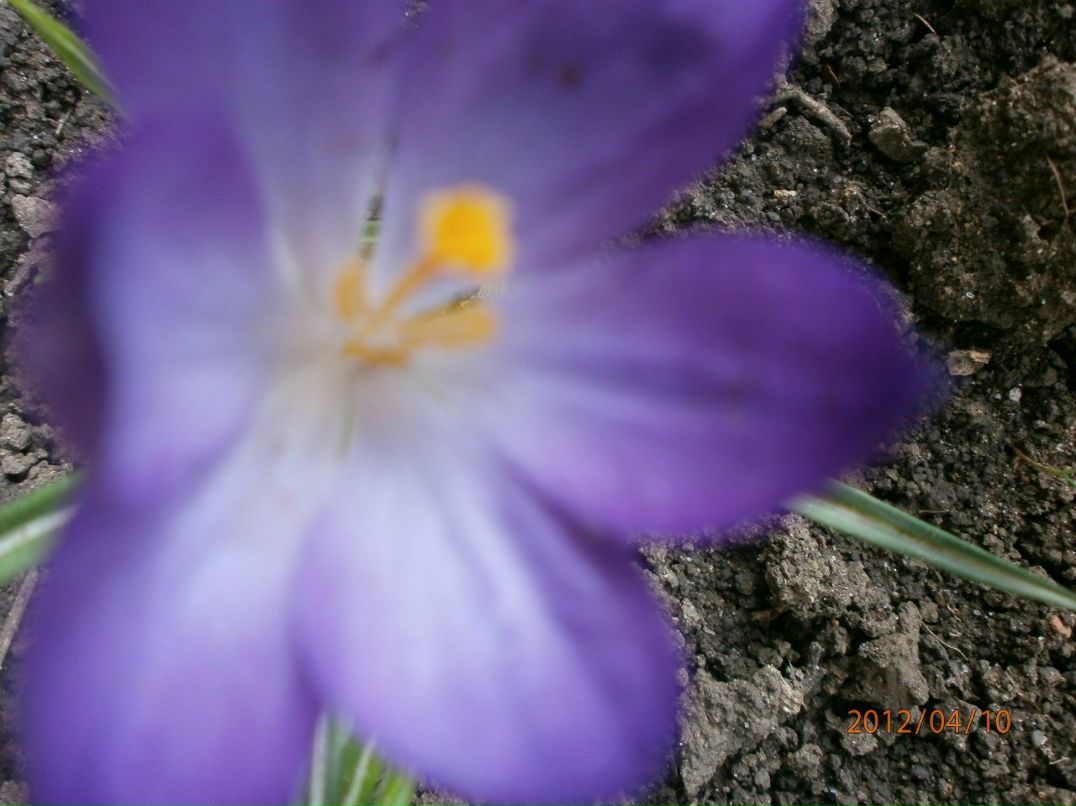 Elena Korsun | Славянск