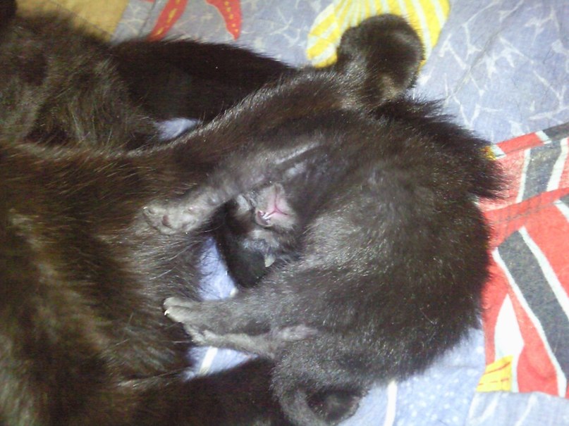 Наталья Речкина Tysik | Москва