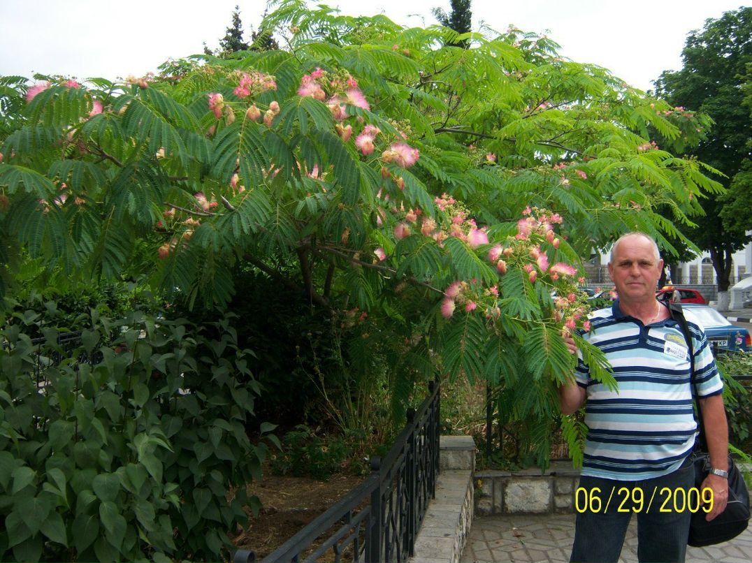 Сергей Сапрыгин | Першотравенск