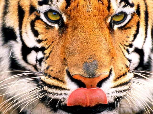 Димон Рыбаков | Владивосток