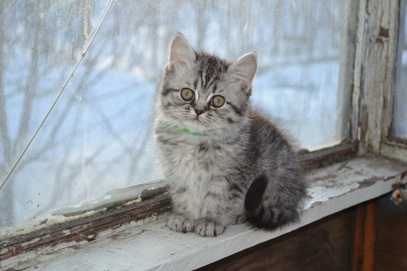 Татьяна Мишина | Петропавловск-Камчатский