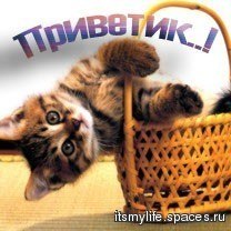 Игорь Богдан | Решетиловка