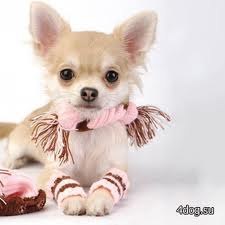 Катя Сарапова | Таллин